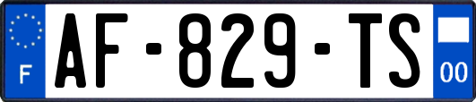 AF-829-TS