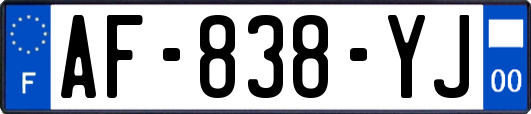 AF-838-YJ