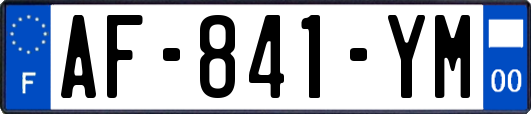 AF-841-YM