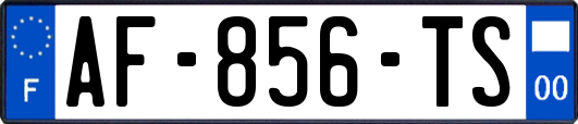 AF-856-TS