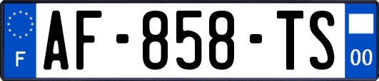 AF-858-TS