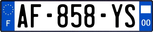 AF-858-YS