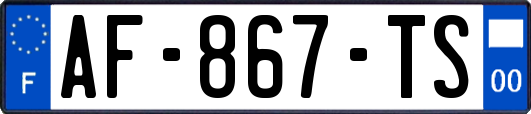 AF-867-TS