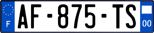 AF-875-TS