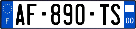 AF-890-TS