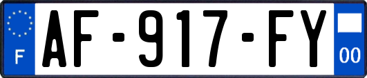 AF-917-FY