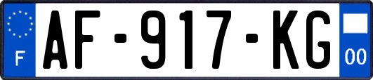 AF-917-KG