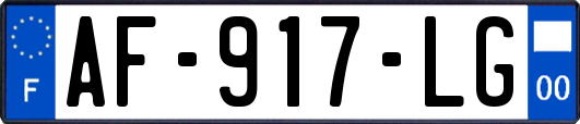 AF-917-LG