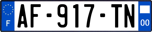 AF-917-TN