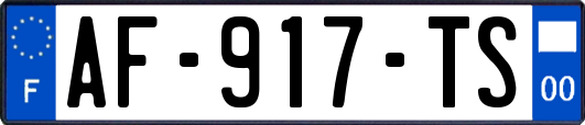 AF-917-TS