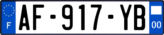 AF-917-YB