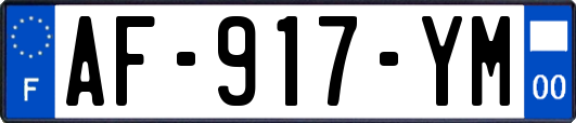 AF-917-YM