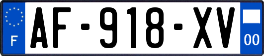 AF-918-XV