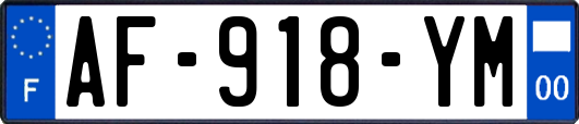AF-918-YM