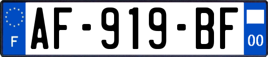 AF-919-BF