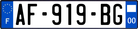AF-919-BG