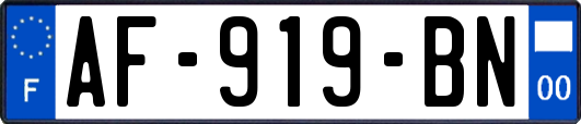 AF-919-BN