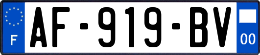 AF-919-BV