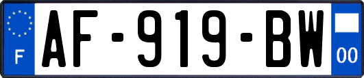 AF-919-BW