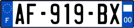 AF-919-BX