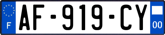 AF-919-CY