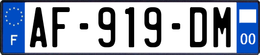 AF-919-DM