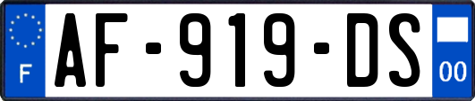 AF-919-DS