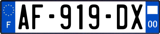 AF-919-DX
