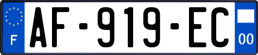 AF-919-EC