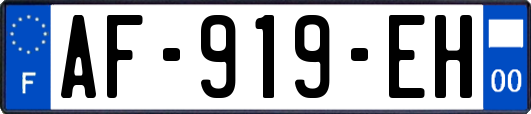 AF-919-EH