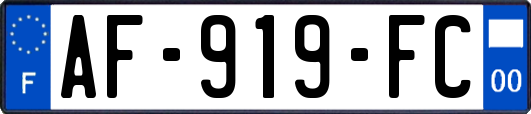 AF-919-FC