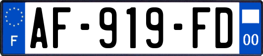AF-919-FD