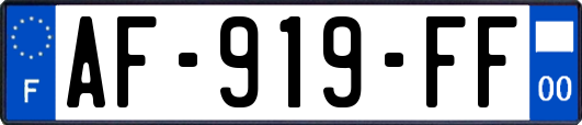 AF-919-FF