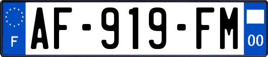 AF-919-FM