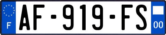 AF-919-FS