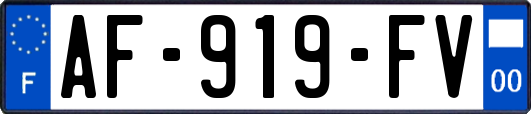 AF-919-FV