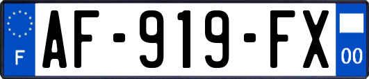AF-919-FX