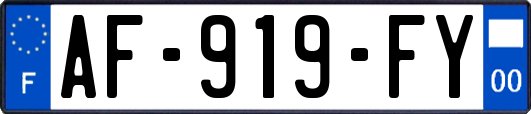 AF-919-FY