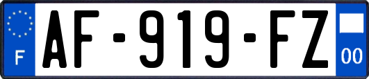 AF-919-FZ