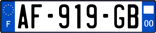 AF-919-GB