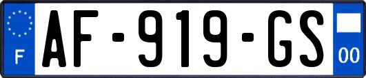 AF-919-GS