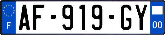 AF-919-GY