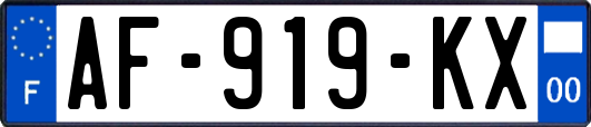 AF-919-KX