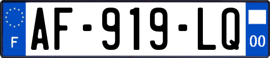 AF-919-LQ
