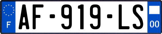 AF-919-LS