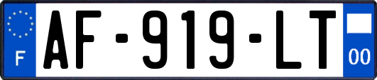 AF-919-LT