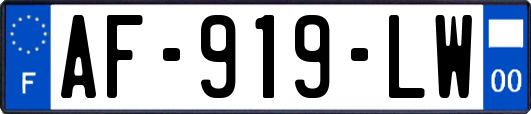AF-919-LW