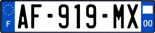 AF-919-MX