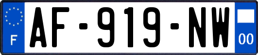 AF-919-NW