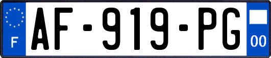 AF-919-PG